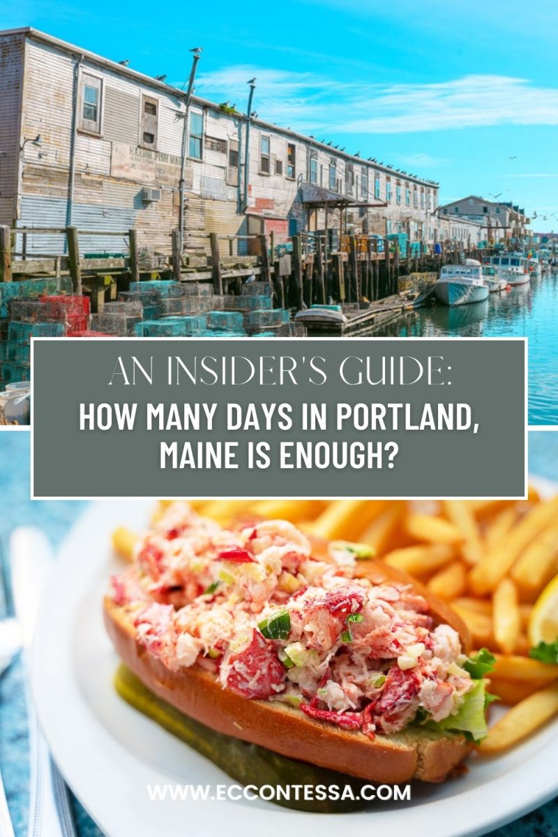 Maine Diner Seafood Chowder Recipe: A Scrumptious Delight from the Coast