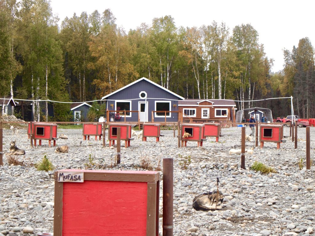 the homestead of Iditarod Champion Dallas Seavey in Willow Alaska